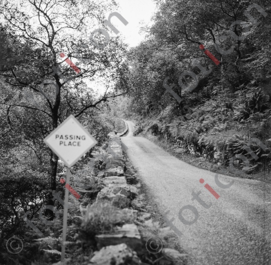 Landstraße mit Begrenzungsmauer | Country road with boundary wall (foticon-hofmann-001-005-sw.jpg)